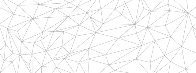 low poly abstract geometric background. interconnected line background. creative background for design purpose