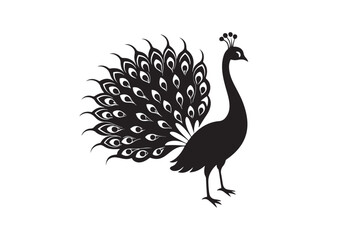 Peacock silhouette vector illustration, Peacock silhouette vector , Peacock silhouette , Peacock silhouette PNG.