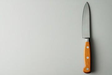 Kitchen knife with wooden handle on light background
