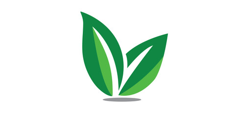 Eco-Friendly Green Leaf Icon, logo illustration