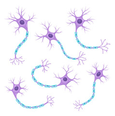 Vector set of neurons. Nerve cell