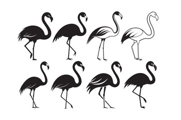 Flamingo silhouette vector illustration, Flamingo silhouette vector bundle, Silhouette bundle 