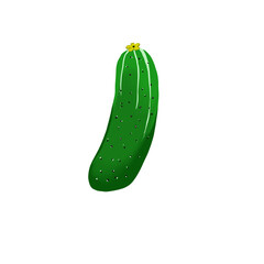 cucumber illustration isolated on white background