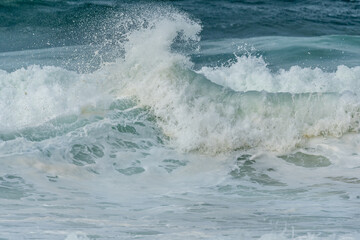 Fototapeta premium Wave of the green and blue Atlantic Ocean at the edge of a beach in the Iroise Sea.