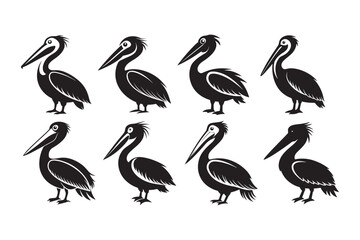Pelican silhouette vector illustration, Pelican silhouette vector bundle, Pelican silhouette