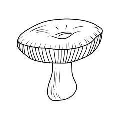 mushroom in a line, doodle style. Hand-drawn in black on a white background. Edible mushroom in vector, for stickers, postcard decoration, backgrounds, prints.