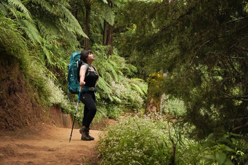 Obraz premium Young asian woman wearing carrier backpack is doing solo hiking activity at Mount Prau, Dieng. She walks along a narrow path with grass and trees beside it. Concept for outdoor activity