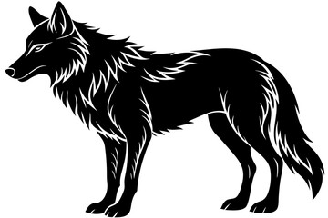 Fototapeta premium black and white wolf