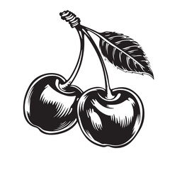 Cherry Fruit Vectors and Illustrations isolated on white background.