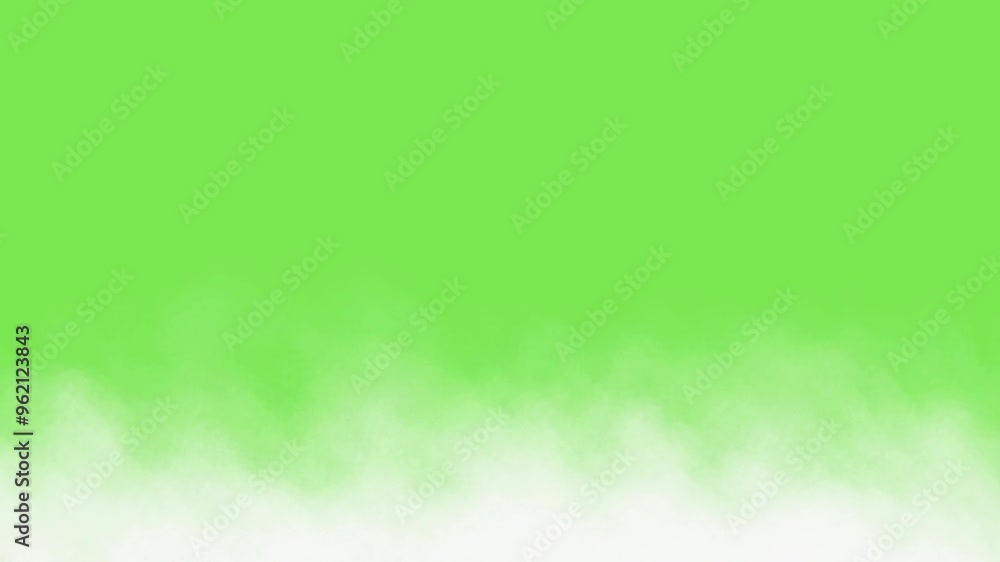 Canvas Prints smoke in slow motion. horizontally moving white fog. smoke clouds fog overlay moving on green backgr