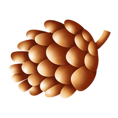 Pine cone illustration in Fall by hand drawn