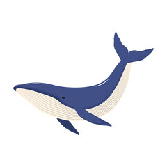Blue humpback whale icon. Marine animal. Vector illustration.