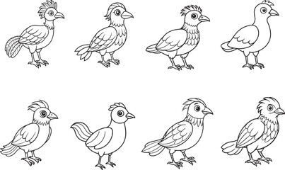 Fototapeta premium Black line art of a dancing peacook bird for kids coloring drawing book in white background