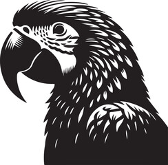 black and white rooster