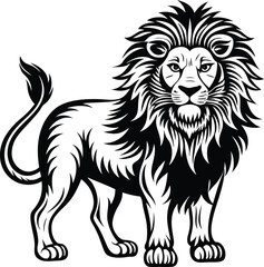 Fototapeta premium lion picture
