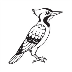 Woodpecker Bird Vector Art Illustration