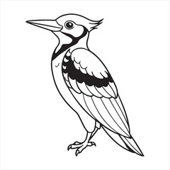 Woodpecker Bird Vector Art Illustration
