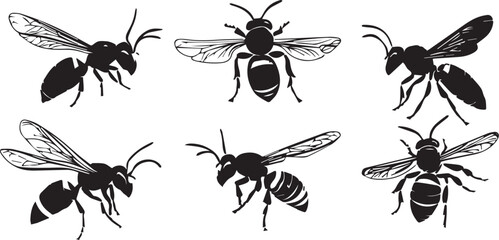 Set insect. Hand drawn vector illustration