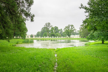 Lush greenery surrounds a tranquil pond, reflecting the soft gray sky as gentle ripples disturb the...