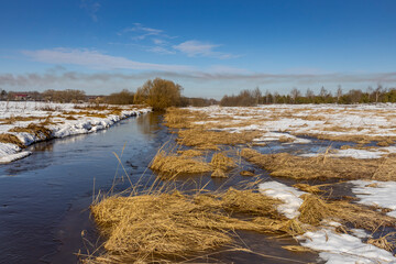 A field with a river running through it and a tree in the background