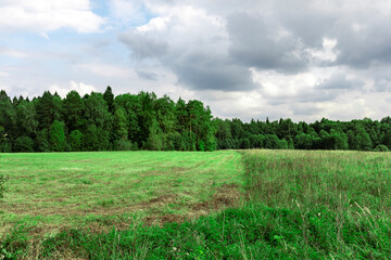 Obraz premium A field of grass with trees in the background