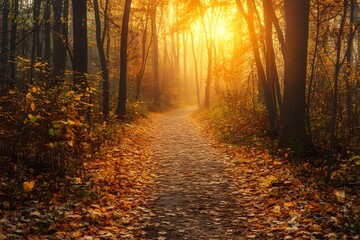 Obraz premium Autumn Forest Path Serenity, nature, landscape, leaves, mist
