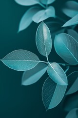 A close-up of a branch filled with teal leaves, set against a dark, moody background creating an elegant and calm atmosphere.