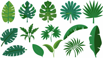Cartoon Jungle Leaves Vector Set: Palm, Banana, Monstera Foliage