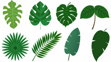 Cartoon Jungle Leaves Vector Set: Palm, Banana, Monstera Foliage