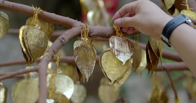 Male hands hanging gold leaf on a tree.A gold leaf shaped like a Bodhi leaf is used to write one's name on and hang on a tree a belief of the Thai people.
