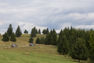 Tour mit Geländewagen in Fogarasch