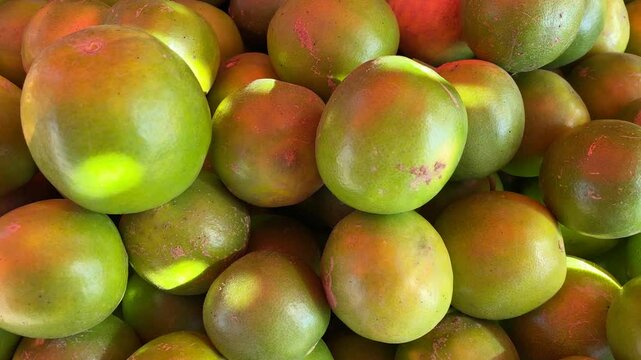 Most Beautiful View of Limes with Sunshine on It