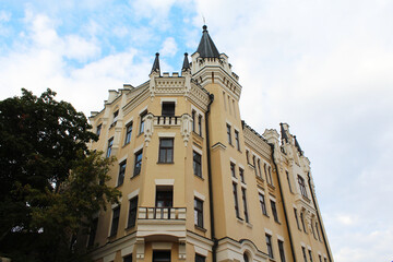 natural background of field grass