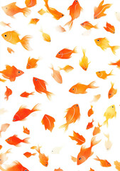 autumn leaf-like fish illustration white background