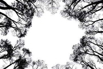 Fototapeta premium Black and white abstract view looking up at the silhouettes of tree tops forming a circular frame with the sky in the center