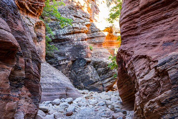 Hiking in a slot canyon at Zion National Park.