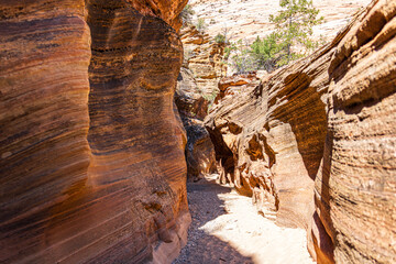Hiking in a slot canyon at Zion National Park.