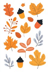 Colorful autumn leaves and acorns arranged on a white background showcasing fall's natural beauty