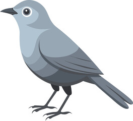 Fototapeta premium gray cat bird artwork victor illustration