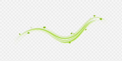 Green air swirl effect with flying mint leaves isolated on white background PNG, vector realistic illustration for advertising design.