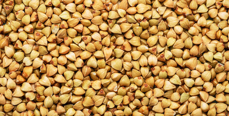 Hulled kernels of buckwheat grains close up. Food background.