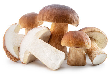 Group of porcini or boletus mushrooms isolated on white background.