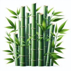 Naklejka premium Bambus