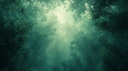 Fototapeta premium A grainy gradient background shifting from deep green at the bottom to a soft blue at the top, mimicking the calming essence of twilight in a dense forest.