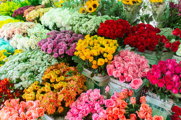 Flores coloridas a venda