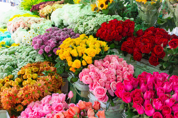 Flores coloridas a venda