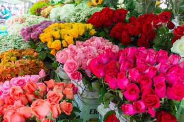 Flores coloridas a venda