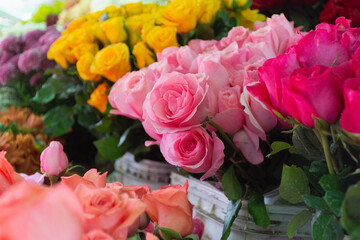 Flores coloridas a venda