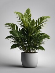 Vector illustration of a plant isolated on a transparent background.