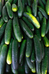 Pepinos a venda